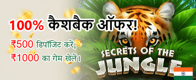 Experience Premium Casino Action